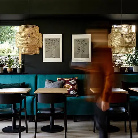 게스트하우스 Dom Gory Las - Adults 11 Plus - W Rytmie Slow - Centrum - Bezplatny Parking - Sniadania 3*