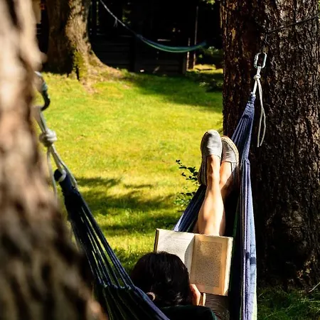 Gæstehus Dom Gory Las - Adults 11 Plus - W Rytmie Slow - Centrum - Bezplatny Parking - Sniadania 3*